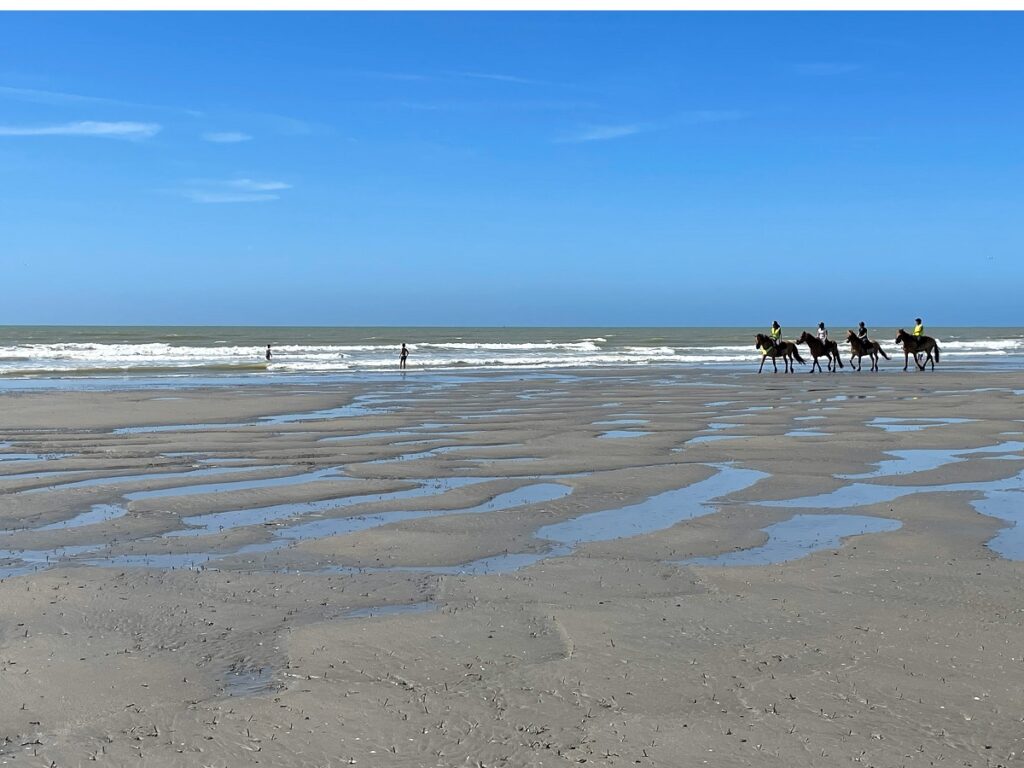Balade à cheval sur la plage de Fort Mahon